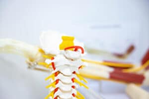 Sciatica Stretches to Heal Your Pain - Princeton Orthopaedic Associates