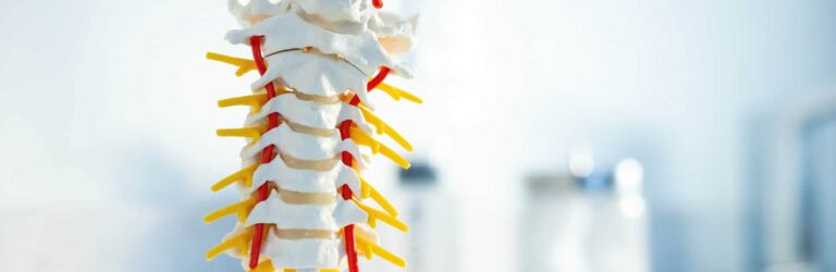 Understanding Degenerative Disc Disease - Princeton Orthopaedic Associates